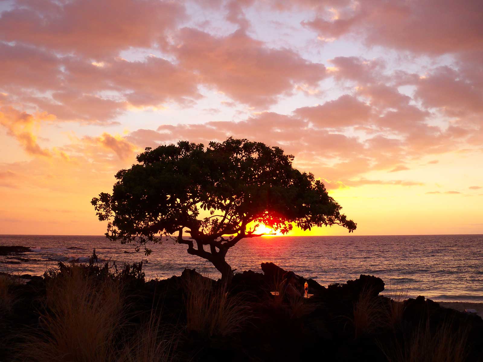 http://www.hawaiipictureoftheday.com/wp-content/uploads/2011/11/kua-bay-beach-sunset.jpg