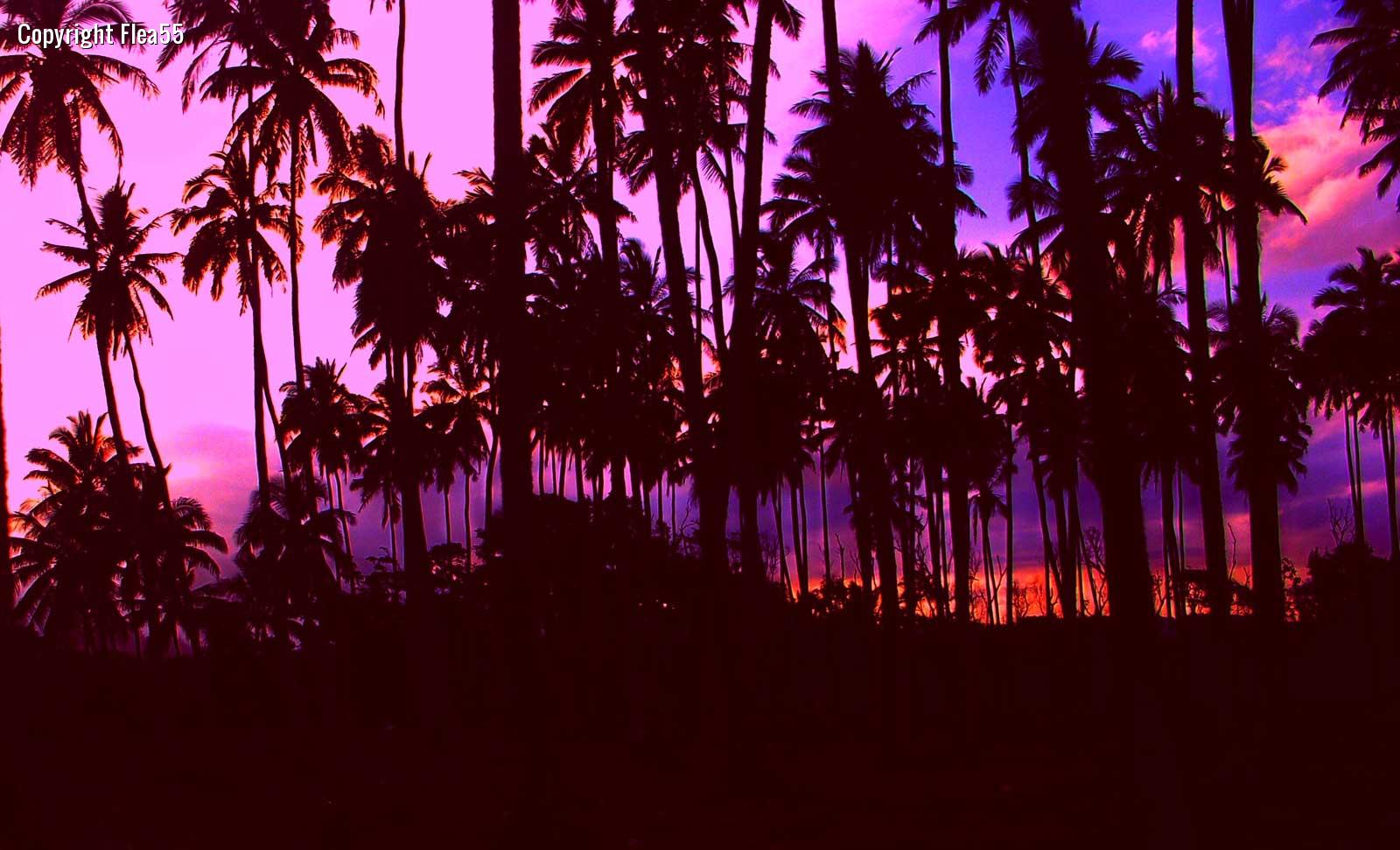 purple hawaiian sunset