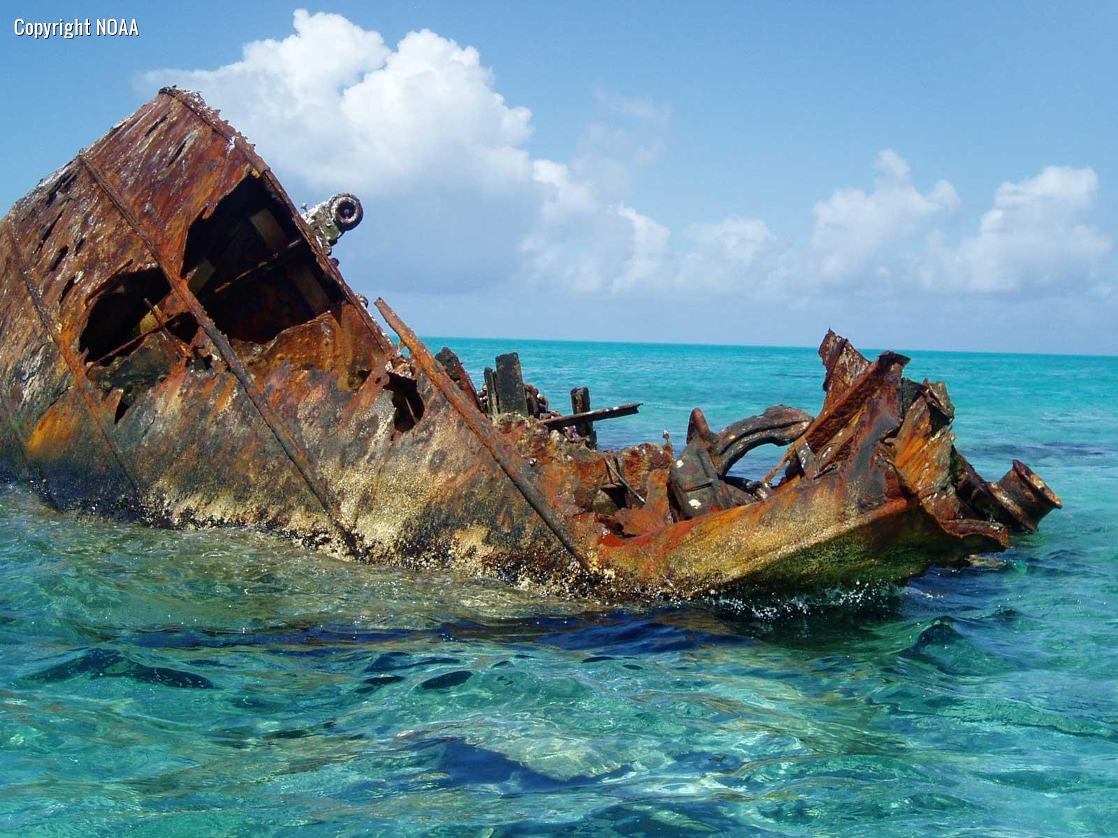 Shipwrecked [2000– ]